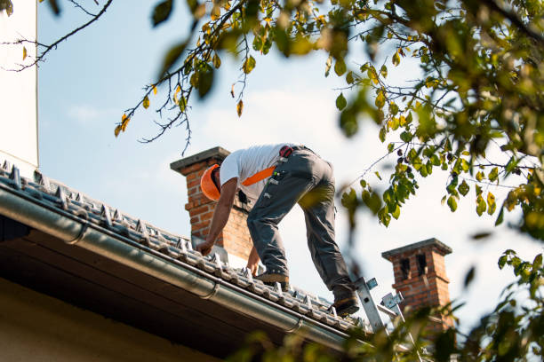 Professional Roofing Contractor in Gilbert, MN
